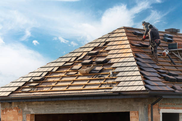 Best Roof Maintenance and Cleaning  in Poth, TX